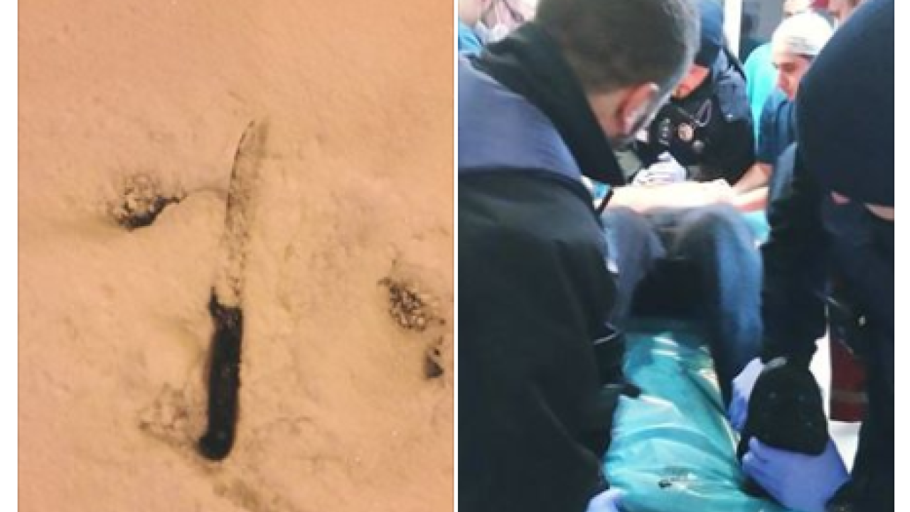 Фото до новини