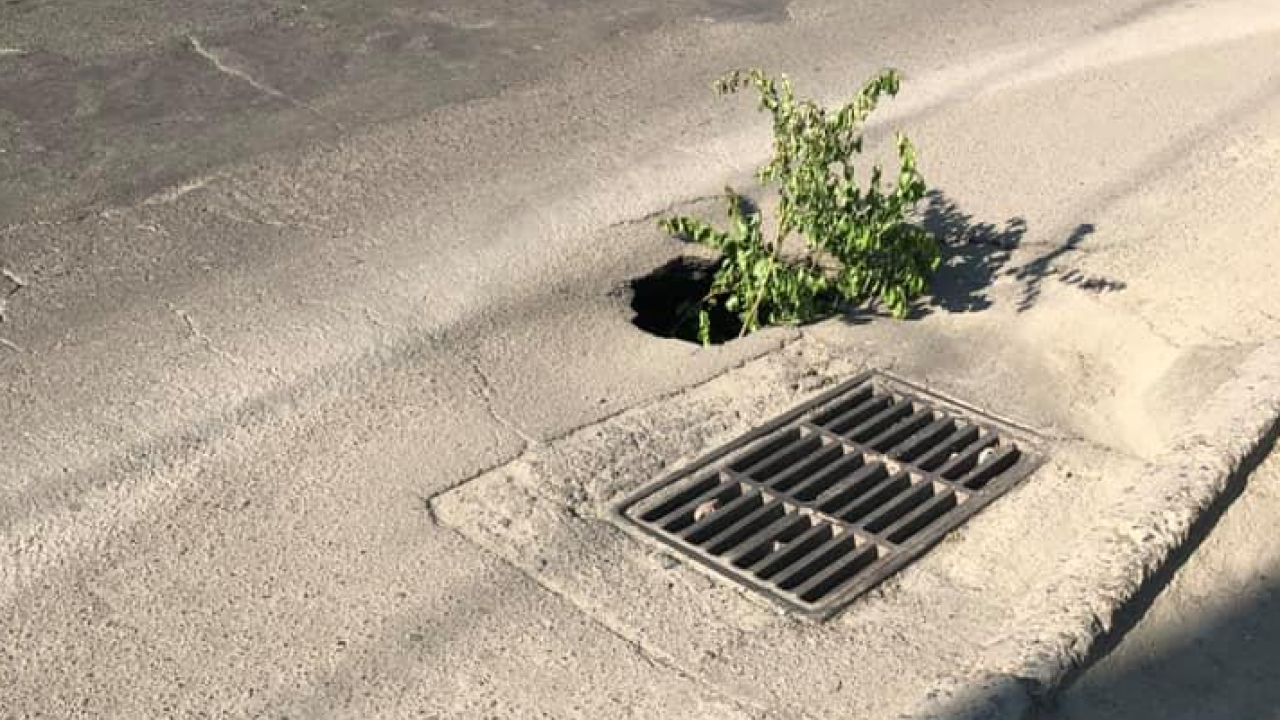 Фото до новини