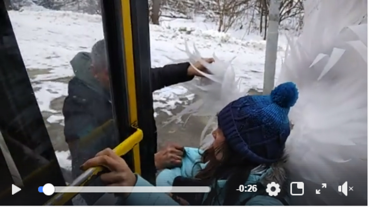 Фото до новини