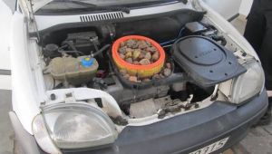 Фото для новини