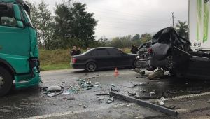 Фото для новини