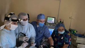 Фото для новини