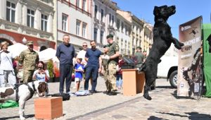 Фото для новини