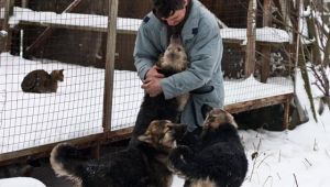 Фото для новини