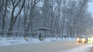 Фото для новини