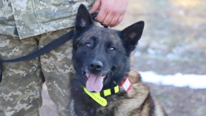 Фото для новини