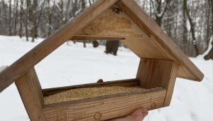 Фото для новини