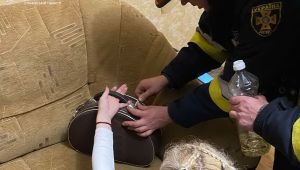 Фото для новини