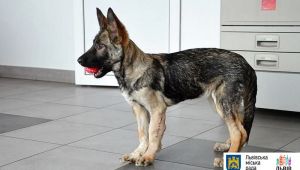 Фото для новини