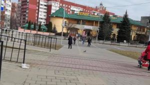 Фото для новини