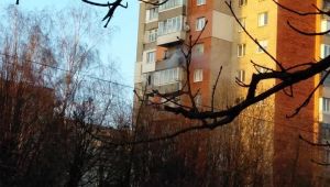 Фото для новини