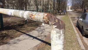 Фото для новини