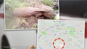 Фото для новини