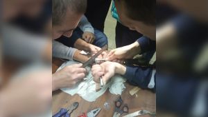 Фото для новини