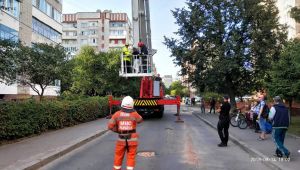 Фото для новини