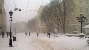 Фото для новини