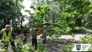 Фото для новини