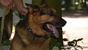 Фото для новини