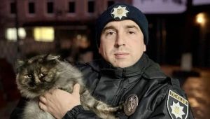 Фото для новини