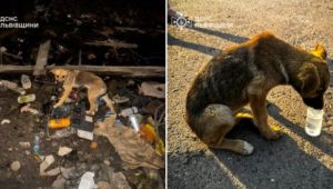 Фото для новини