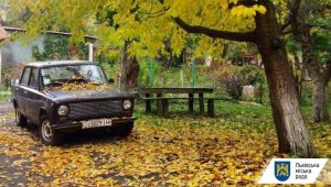 Фото для новини