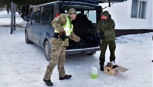 Фото для новини