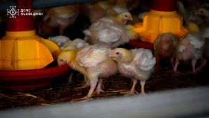 Фото для новини