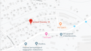 Фото для новини