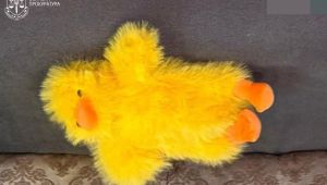 Фото для новини