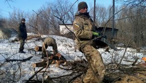 Фото для новини