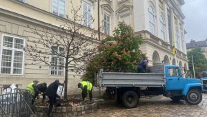 Фото для новини