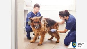 Фото для новини