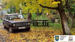 Фото для новини