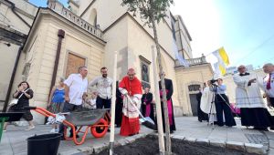 Фото для новини