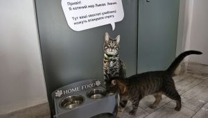 Фото для новини