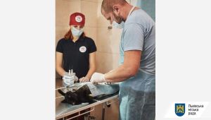 Фото для новини