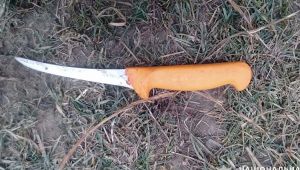 Фото для новини