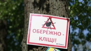 Фото для новини