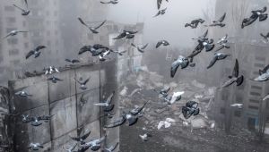 Фото для новини