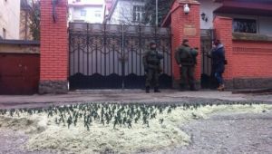 Фото для новини