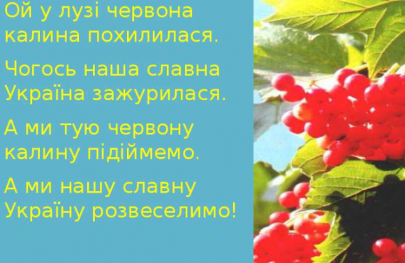 У Львові відбудеться загальноміський флешмоб | Новини Львова