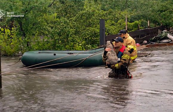 Фото до новини