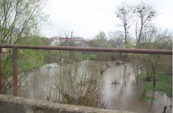 Річка Січна в місті Мостиська 