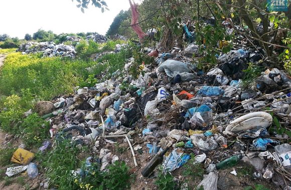 Несанкціоноване сміттєзвалище в Городку