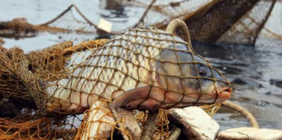 Знімок_екрана_з_2023-03-31_