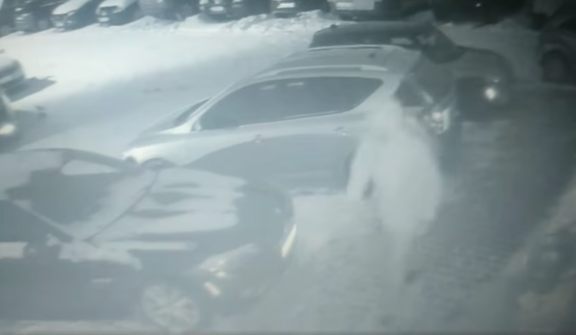 Знімок_екрана_з_2023-04-03_