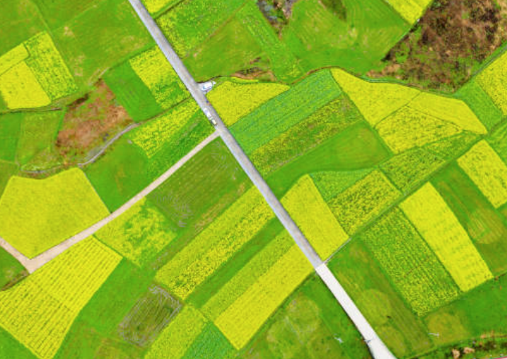 Знімок_екрана_з_2023-04-05_