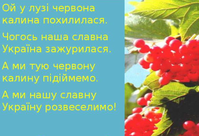 Червона калина. Червона Калина похилилася. Червона Калина похилилася песня. Ой у лузі Червона Калина слушать. Ой у лузі Червона Калина ремикс.