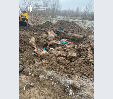 povidomilo-pro-pidozru-nachalnici-shovis